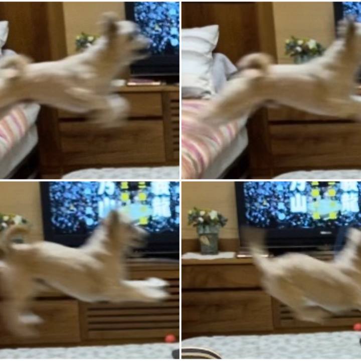 Dd573764 1dca 4897 8be1 7bd7f6553b47 1579256390110