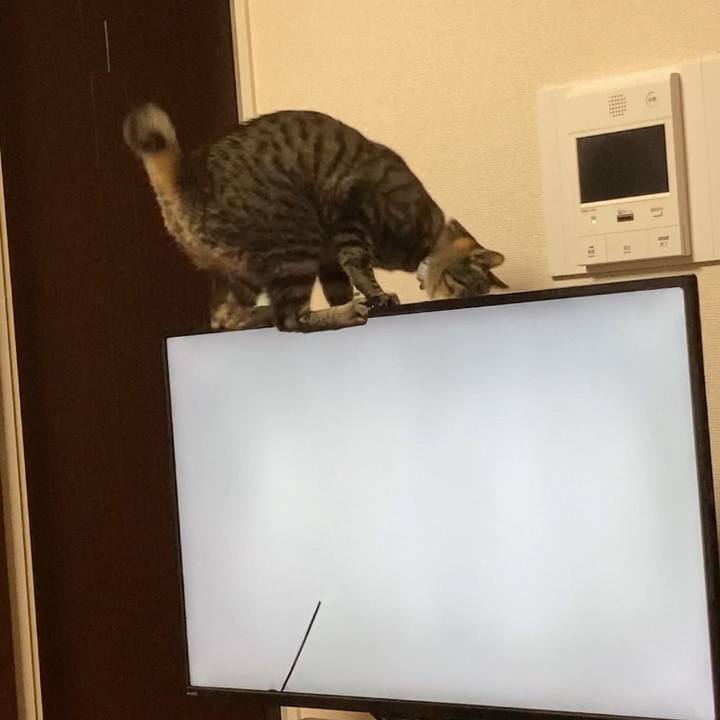 Dd574580 a0b9 4c3f 874f b081b8abdbac 1614655489792