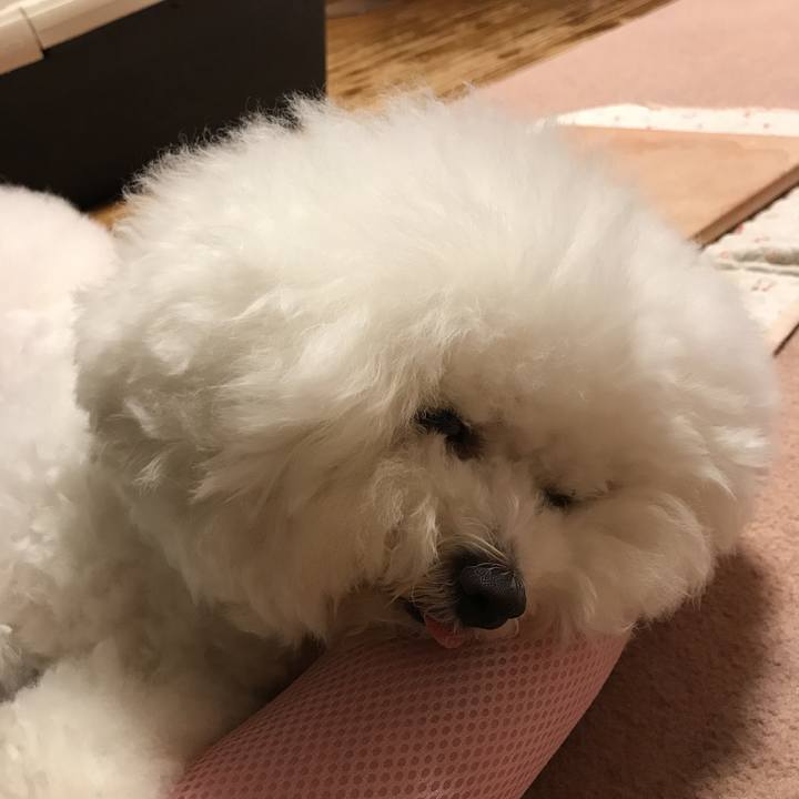 Dd57542d dc89 4b7f b0b4 a54f5d212f45 1533133250089