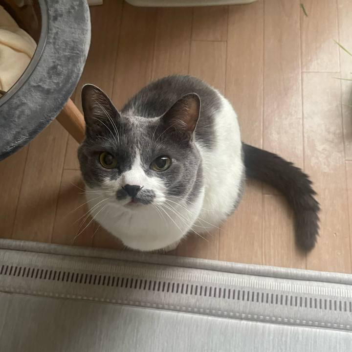 Dd578618 96c6 436e a753 01640331345c 1754601477394