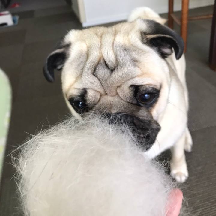 Dd58058a 16e4 451d b111 0a30b16abde6 1558492138580