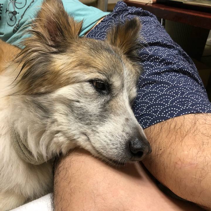 Dd584eab b858 4da6 84de 61c661202222 1532184265452