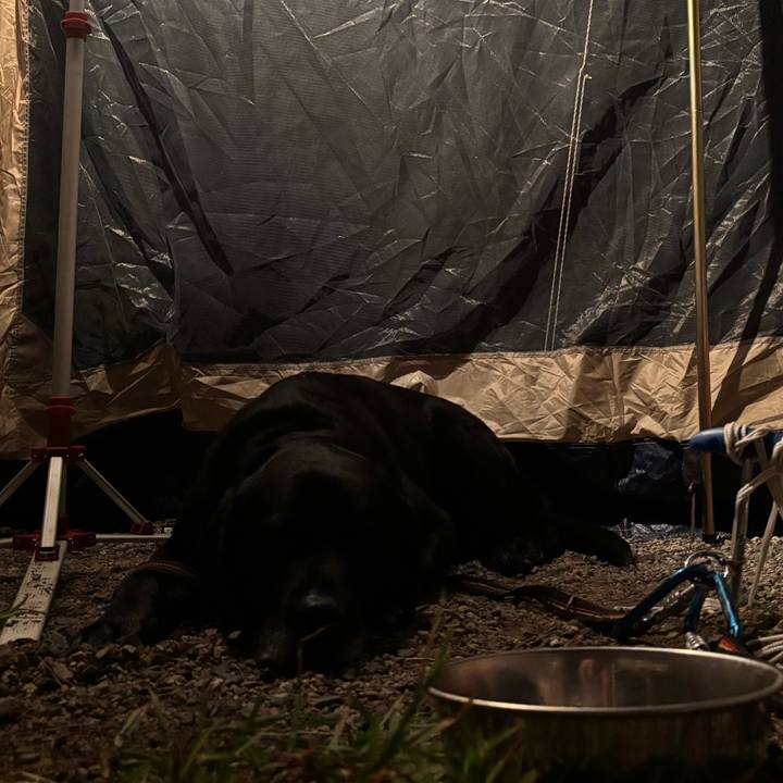 Dd58b712 0aa0 4505 9519 8b8bd1eb519b 1758367453956