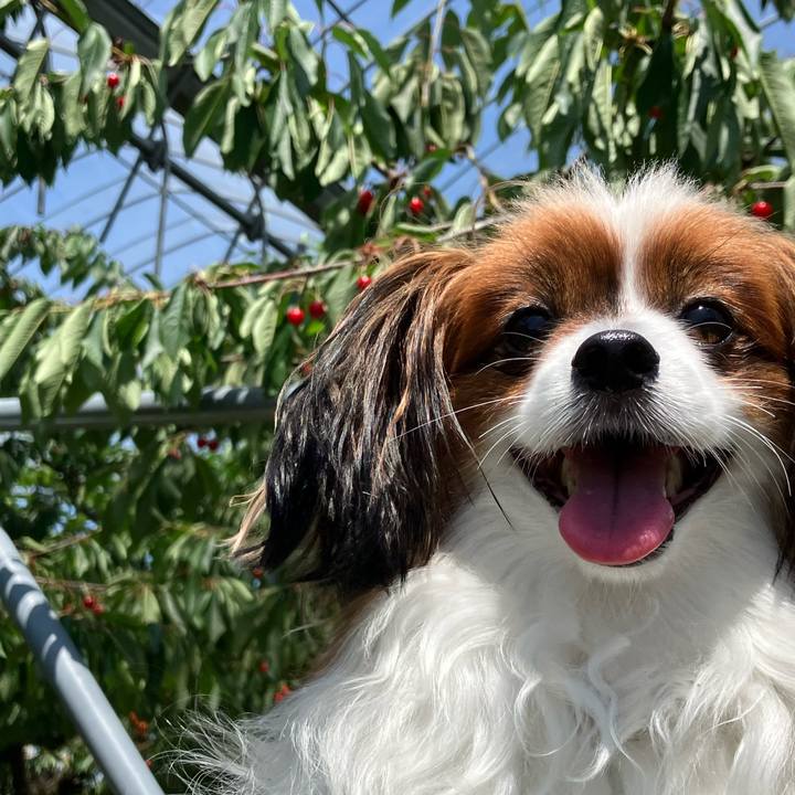 Dd58b9b5 86c3 40fc bdce 2f8652b81c11 1751686546776