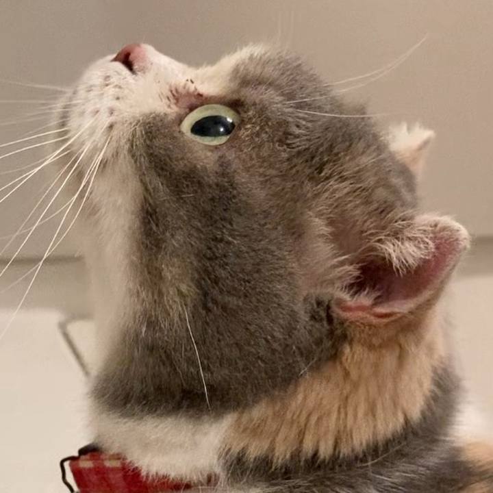 Dd58ddb4 f222 4e2d be48 8f808a7da8fe 1726567372042