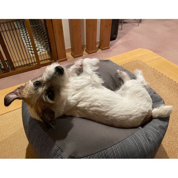 Dd58f166 11db 4d93 b195 edb31db4b0a9 1652970446713