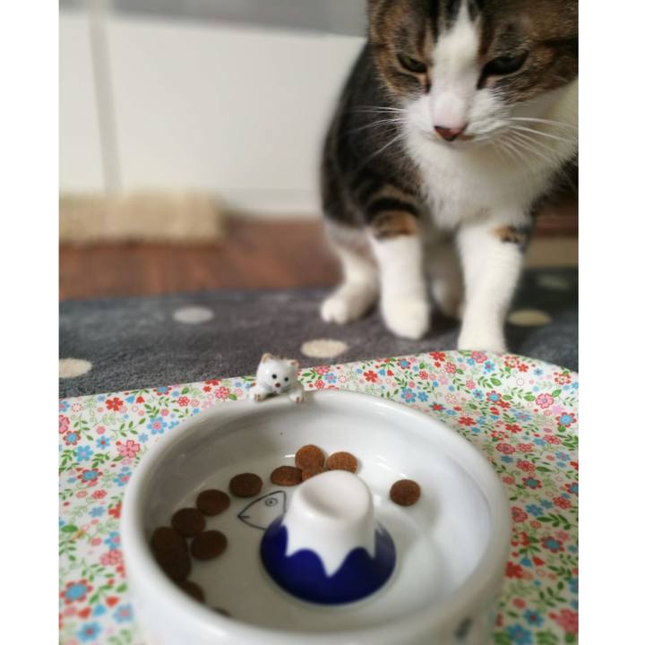 Dd5938a2 b335 4ded 8b2a ff14f768ecdb 1550027040120