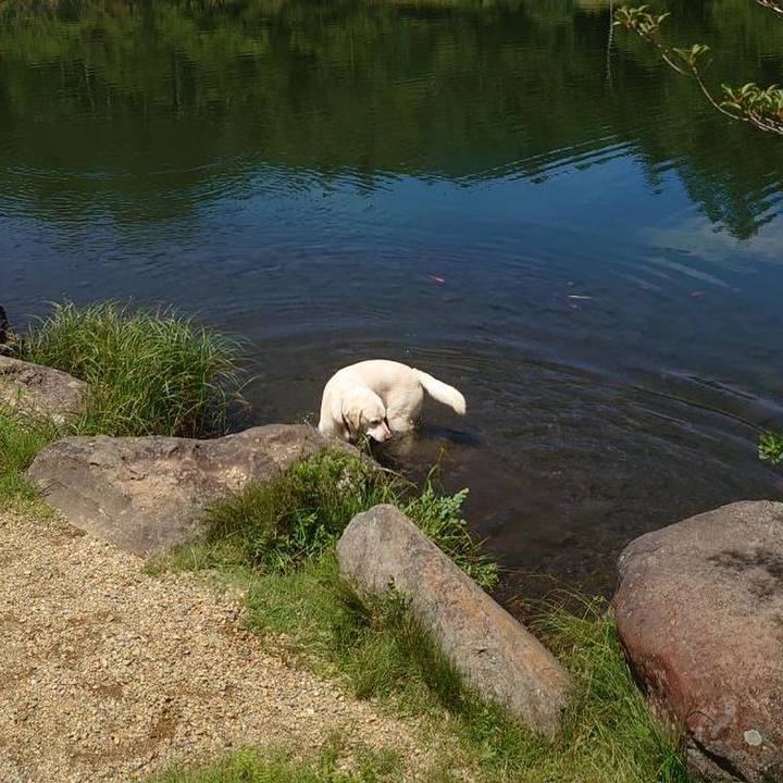 Dd5956ce 8839 4321 9610 5b04c966951a 1721299156884