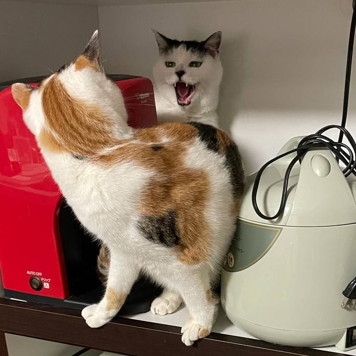 Dd595dd6 cbea 4d73 983e 7b068f0409de 1606921040888