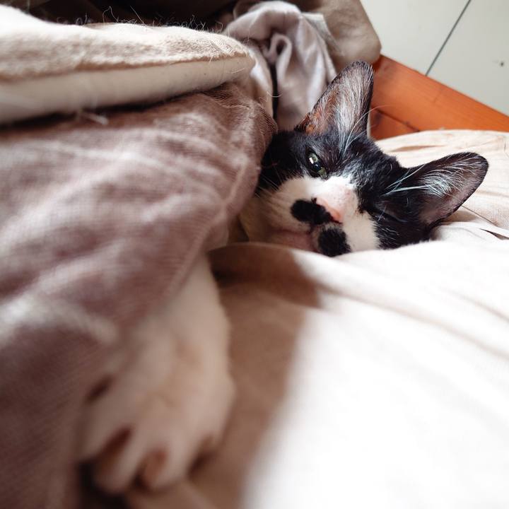 Dd597027 6473 4b14 83ca 1781526df8e3 1770262181636