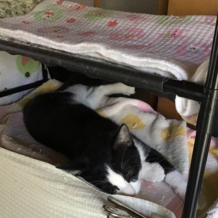 Dd59b167 1f46 4ab4 a717 5df09ac89022 1626925970382