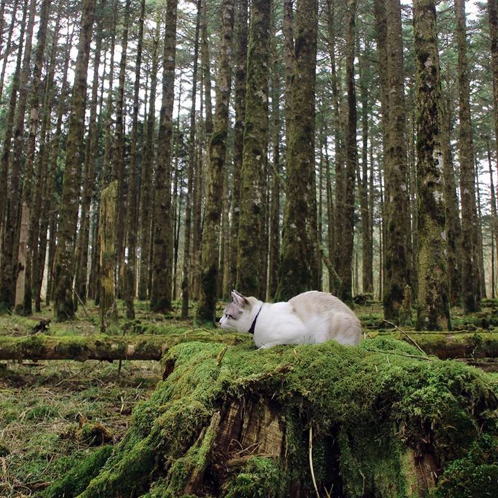 Dd59cf10 6708 4fdc bfd3 8922369d4038 1620259729976