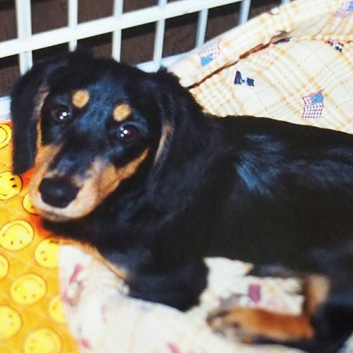 Dd59d961 8dc3 4188 8b85 459bb2db40a3 1544108666075