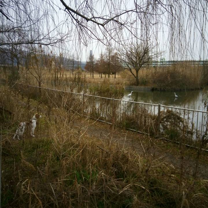 Dd5a7775 c2f9 4eca 9c00 c37c184a311e 1515110670884