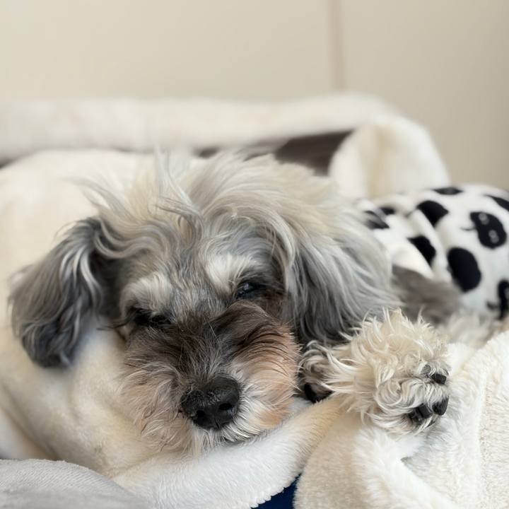 Dd5ae0e3 6bb3 4b8c ae17 fe63bb0813d5 1771128983647