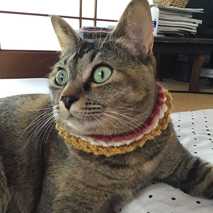 Dd5af78c cfdf 4e53 9660 45c55fe0d5eb 1622177702860