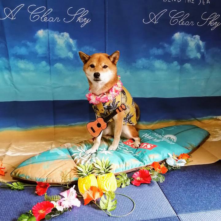 Dd5af9da 2afc 4de8 8532 cba1a480e8fd 1597209846724