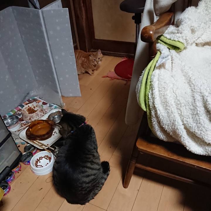 Dd5b224f 9545 4458 a1de 41451d526ec5 1642711708386