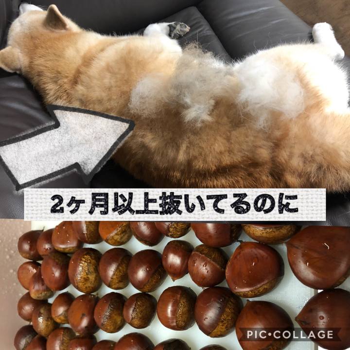 Dd5b5c5c 6c20 4d89 845b 4b49da64da88 1569411485958