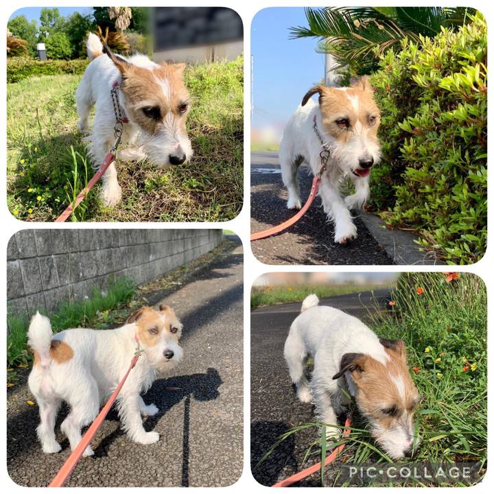 Dd5bb191 1c10 436f af42 4171bcec5141 1620451346171