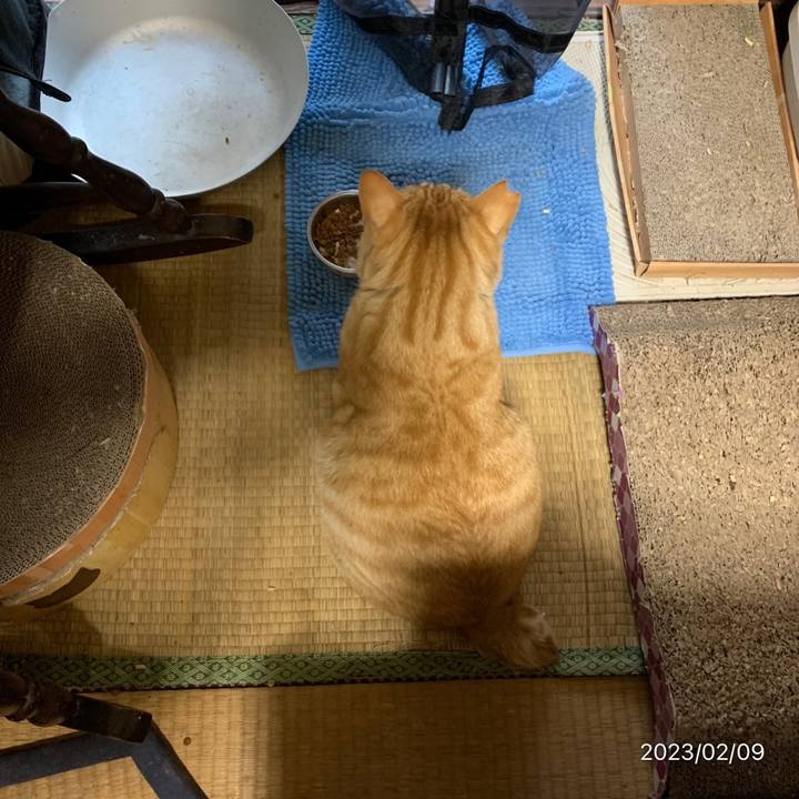 Dd5bb4de b4cf 4546 9455 15b101ca69b0 1675893735588