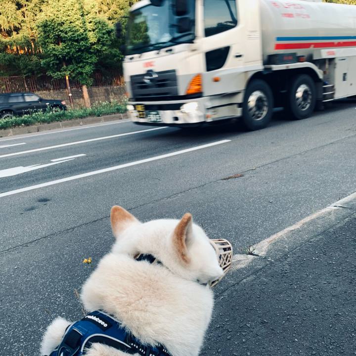 Dd5bc5f1 de1b 4f5b b419 403bb2a62dad 1630963617122