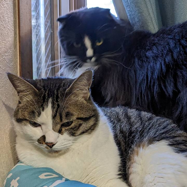 Dd5bf059 c343 4324 b31e 16fe7d560652 1686950263608