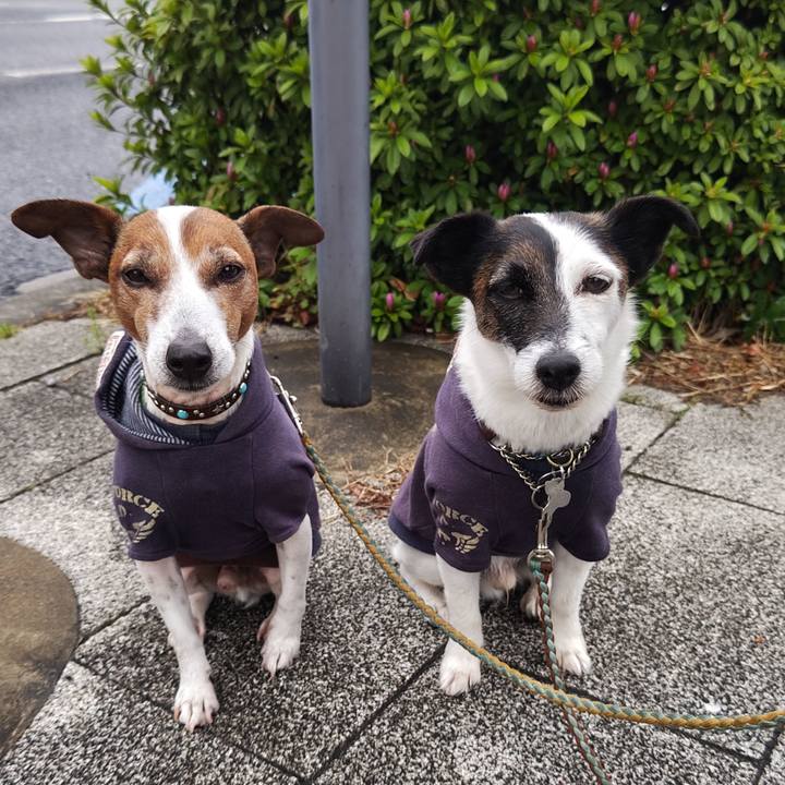 Dd5c0546 336f 4147 8040 adbc5cbb2468 1744581756572