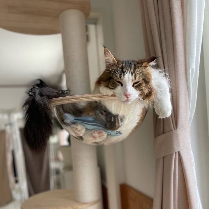 Dd5c20b4 d220 4876 b8d0 a54bdf116dc4 1651187102672