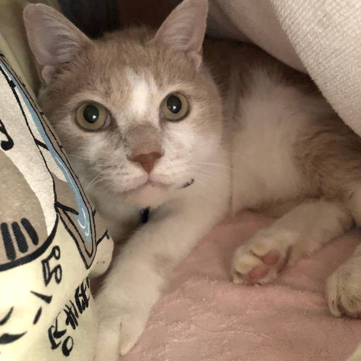 Dd5c6893 1b59 44a1 99c2 341b32b221de 1539383243113