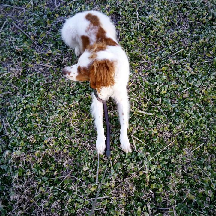 Dd5c6b80 c569 443e a600 9a2513faf21f 1515024967786