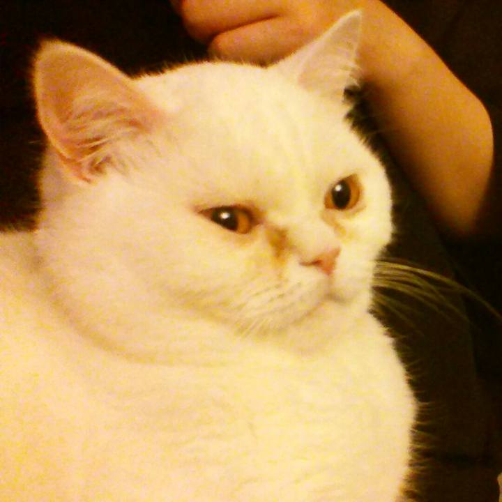 Dd5c7f44 1271 48f9 9a61 040d52316fcf 1523537787395