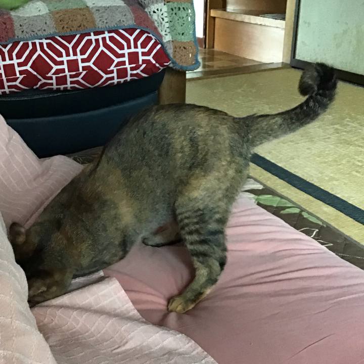 Dd5cf359 7b7b 492b b586 57ee051a8092 1585793234745