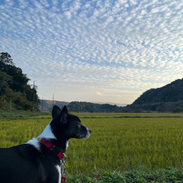 Dd5d3cec 4877 470d b38c 153b498808c2 1700914864799