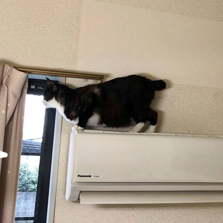 Dd5d9802 d80a 4de5 8a88 0a755d3fe742 1545454696061