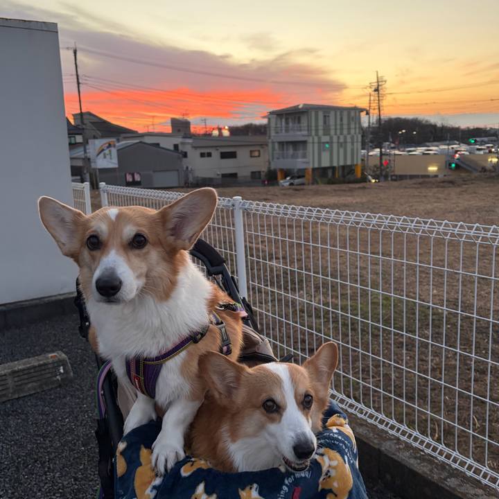 Dd5da88a 4df7 418d 9d05 5877b21f0426 1767168676889