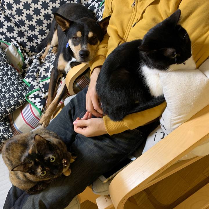 Dd5dc125 ace8 443f b224 063f506528d7 1553352551484