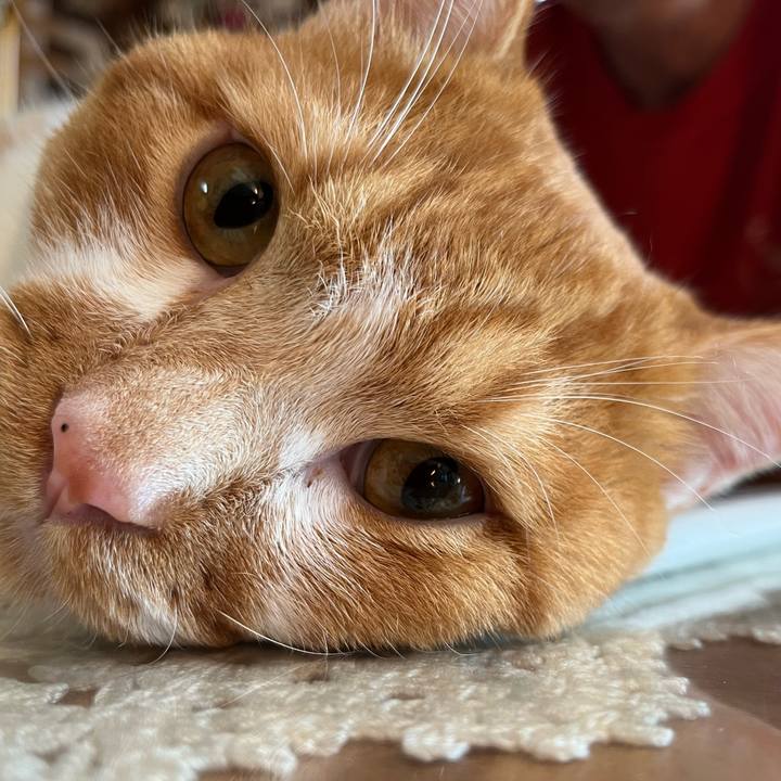 Dd5dd29e e1e3 48c6 9404 fe406afc8a04 1692396355782