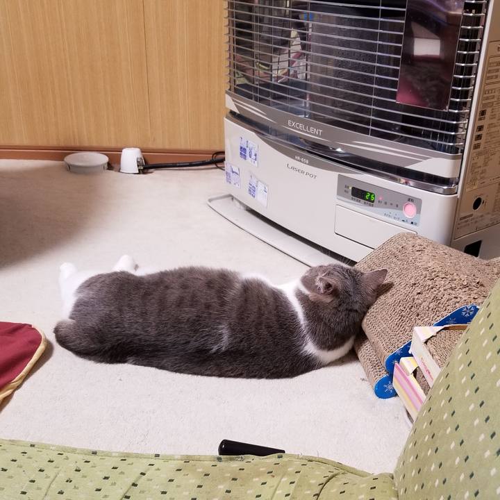 Dd5de6cf 13ac 409c 9305 09fc39a46135 1634482549628