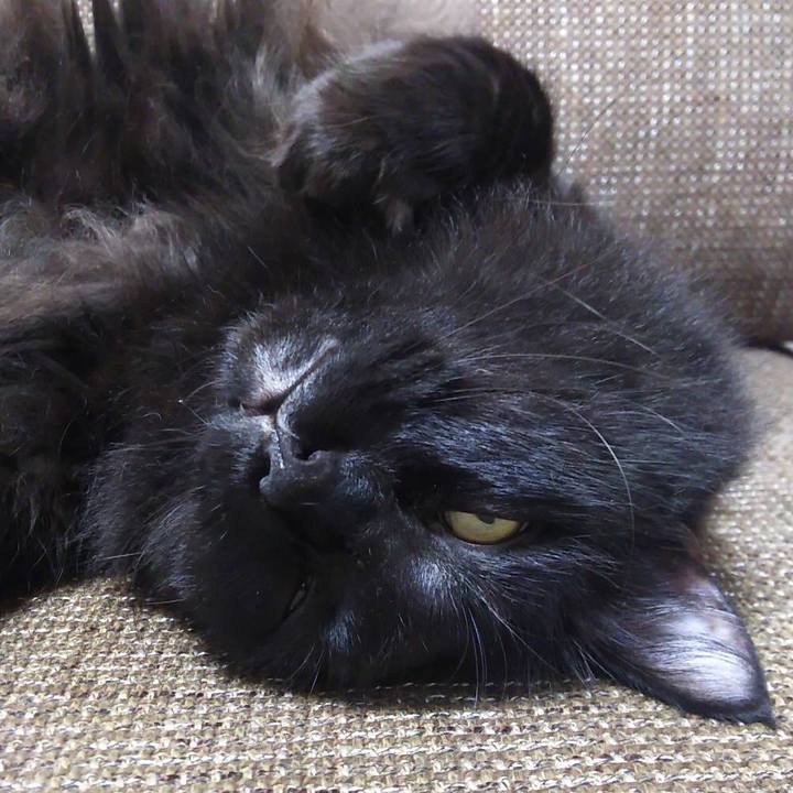 Dd5e3191 de1a 4bd1 b82b 146fd5138662 1510385588774