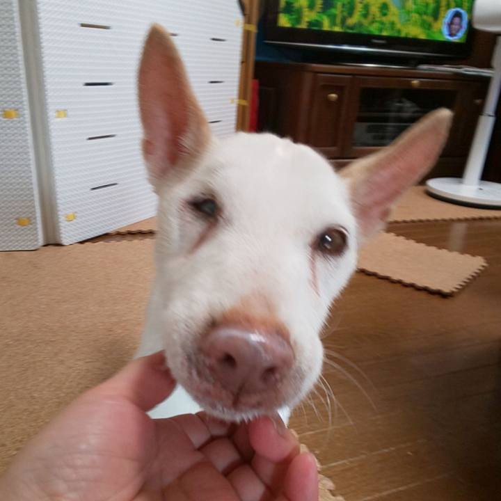 Dd5e3d67 2a9e 4076 9b38 6d9343eb4434 1565739705190