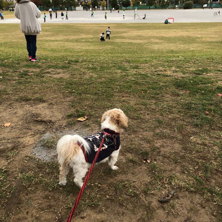 Dd5e5240 2838 44dc 94cf 8f55bd63e871 1606773380865