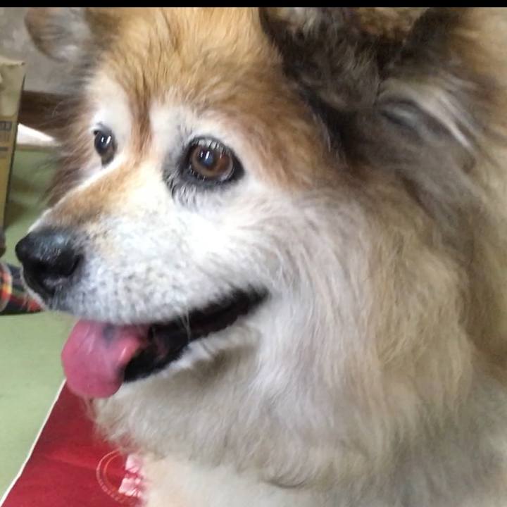 Dd5e5a42 517e 45f6 b06a 2da6d55025a2 1592500272301