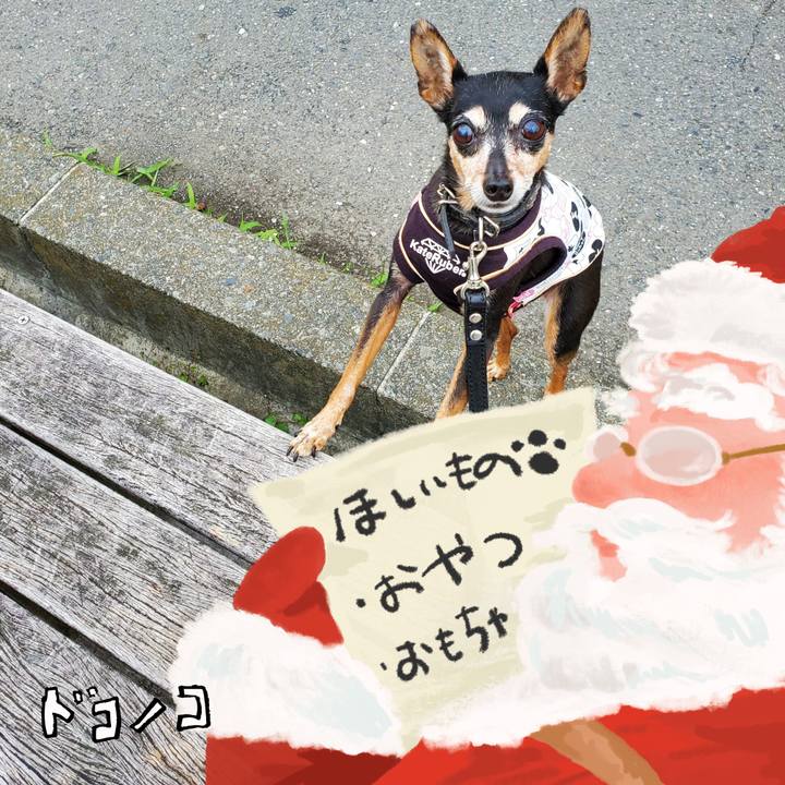 Dd5e5db8 0550 4c98 8ba7 372679317fa2 1729344980713