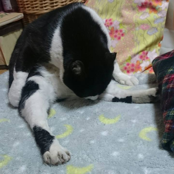 Dd5e6025 f5b8 42e1 9901 efec4ee864e0 1515124605510