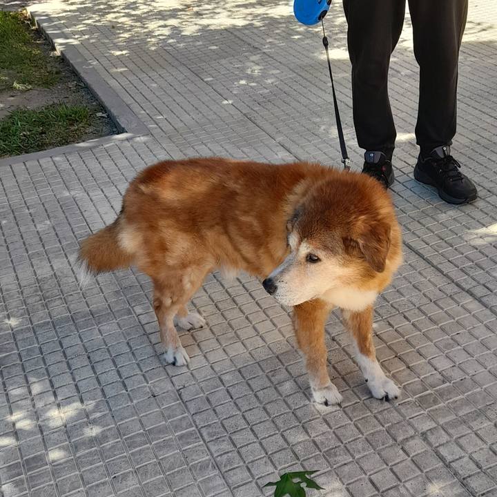 Dd5e7359 5cfc 4f3e 9e84 c65d80df17ea 1773279043852