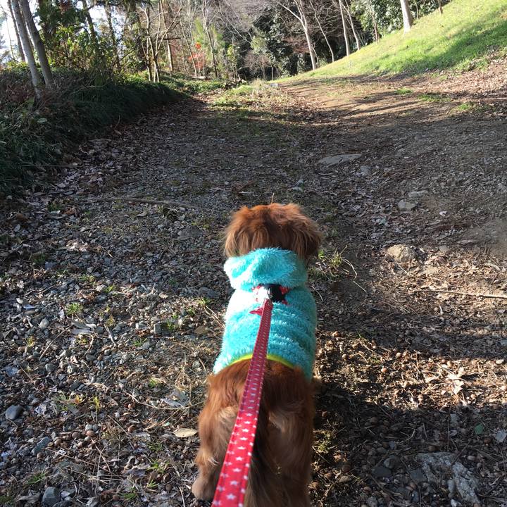 Dd5f18da e0a4 4bbc 85bb 2dedb42d81e1 1518850657840