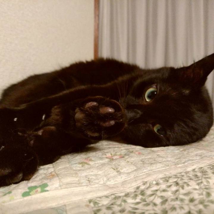 Dd5f3a50 e971 4153 add8 849a8d9dac3a 1596974347818