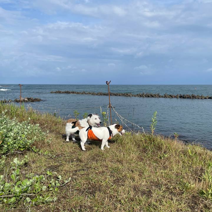 Dd5f656c 942e 4178 9f55 5b1cf9b24801 1719357436525