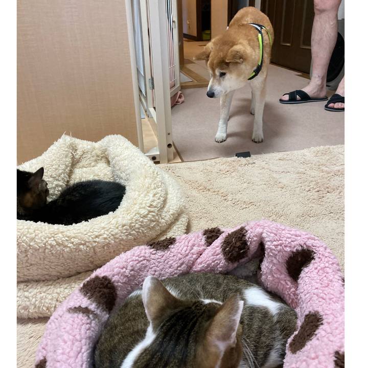 Dd5fbac0 6d17 4aab 821c 7df263b7ef14 1642421086253